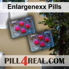 Enlargenexx Pills 328