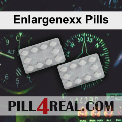 Enlargenexx Pills 533