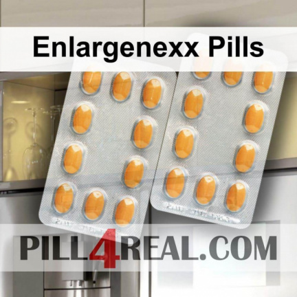 Enlargenexx Pills 538