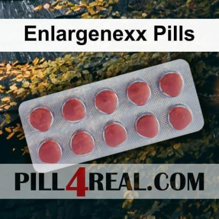 Enlargenexx Pills 573