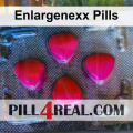 Enlargenexx Pills 750