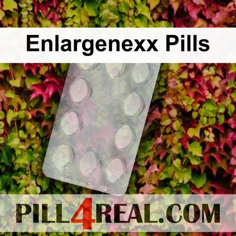 Enlargenexx Pills 810