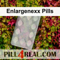 Enlargenexx Pills 810