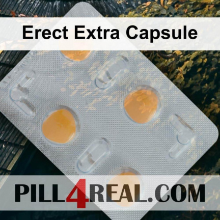 Erect Extra Capsule 105