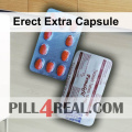 Erect Extra Capsule 111