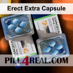 Erect Extra Capsule 115