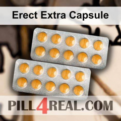 Erect Extra Capsule 212