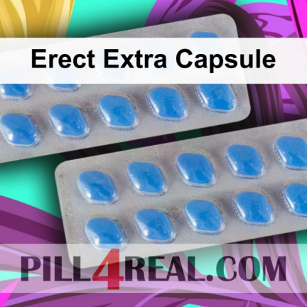 Erect Extra Capsule 241