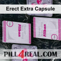 Erect Extra Capsule 419