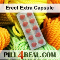 Erect Extra Capsule 477