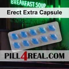 Erect Extra Capsule 698
