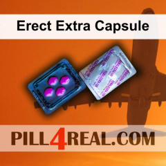 Erect Extra Capsule 751