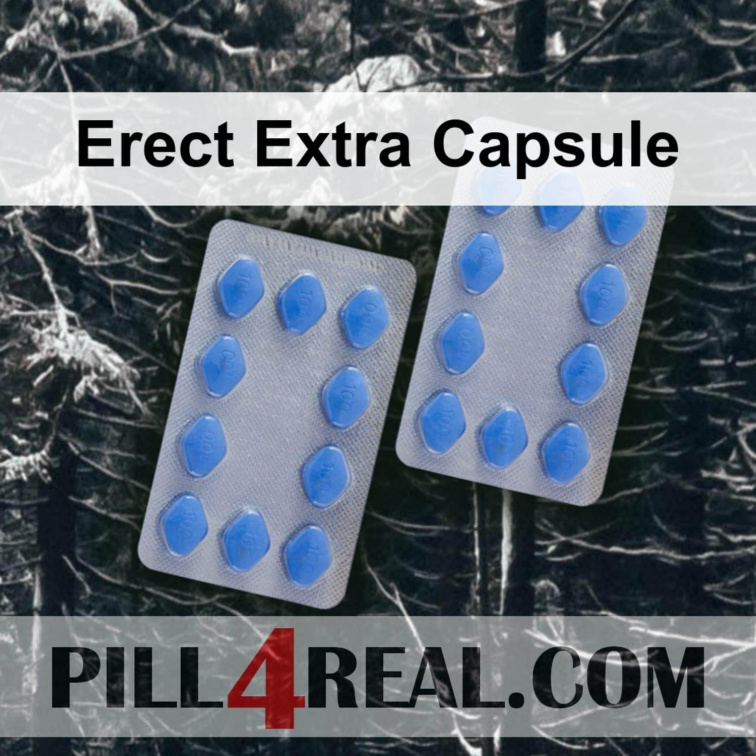 Erect Extra Capsule 781