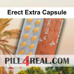 Erect Extra Capsule 877