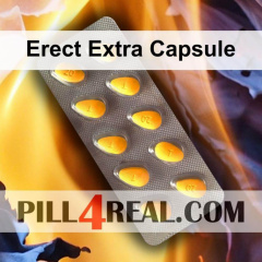 Erect Extra Capsule 878