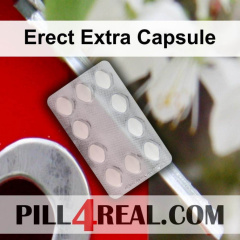Erect Extra Capsule 884