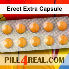 Erect Extra Capsule 902