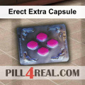 Erect Extra Capsule 908