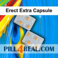 Erect Extra Capsule 941
