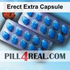 Erect Extra Capsule 982