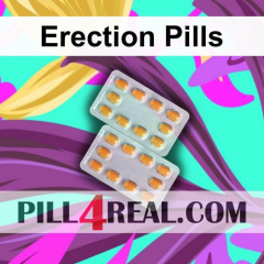 Erection Pills 087