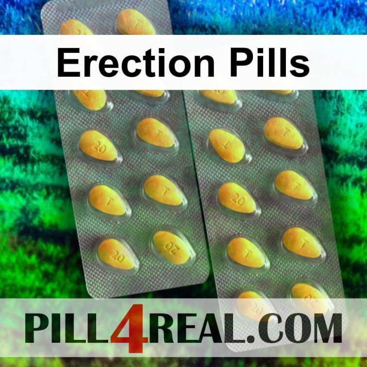 Erection Pills 381
