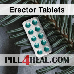 Erector Tablets 116