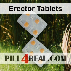 Erector Tablets 564