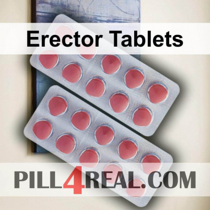 Erector Tablets 701