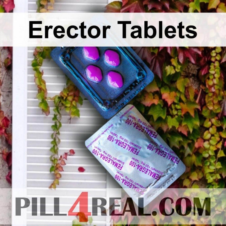 Erector Tablets 908