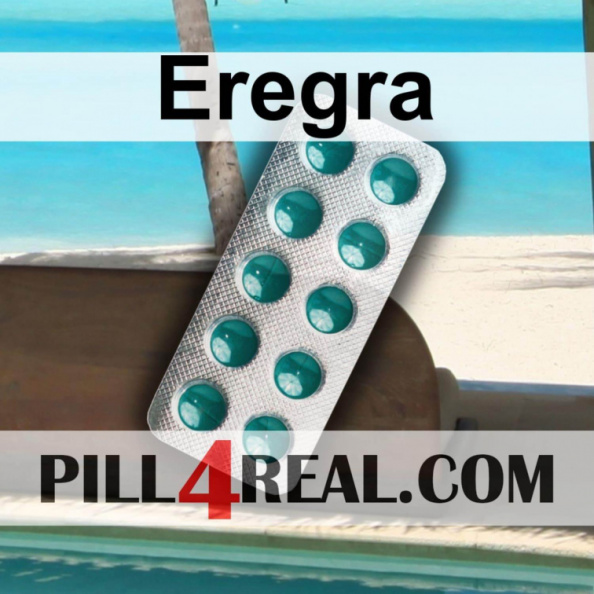 Eregra 082
