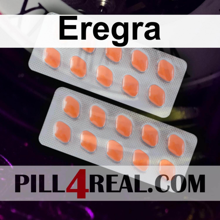 Eregra 259