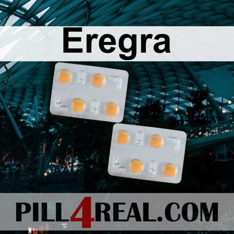 Eregra 291
