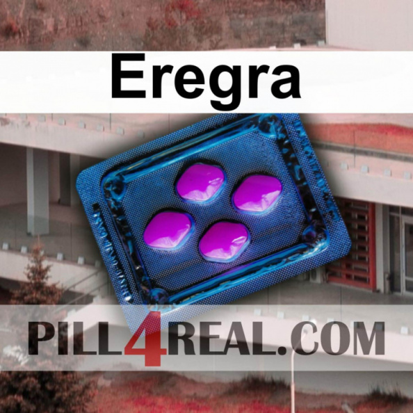 Eregra 536