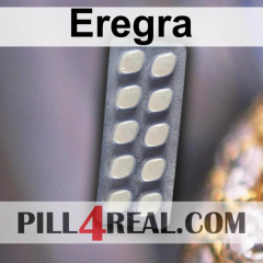 Eregra 676