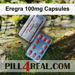 Eregra 100mg Capsules 566