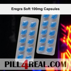Eregra Soft 100mg Capsules 504