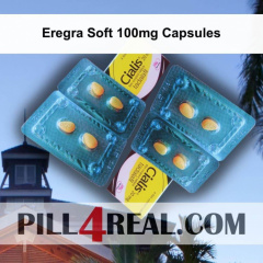 Eregra Soft 100mg Capsules 675