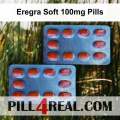 Eregra Soft 100mg Pills 356