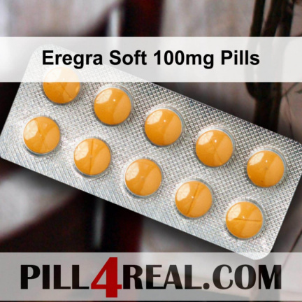 Eregra Soft 100mg Pills 718