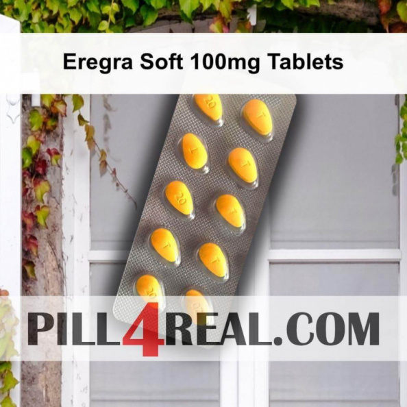 Eregra Soft 100mg Tablets 369