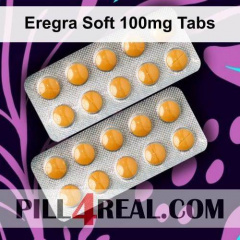 Eregra Soft 100mg Tabs 902