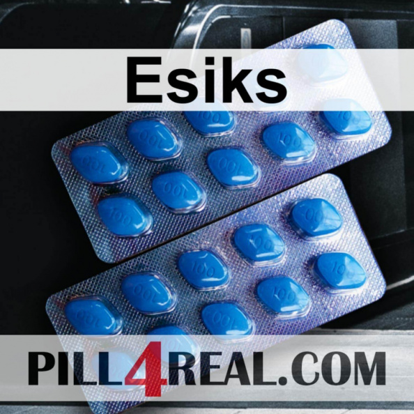 Esiks 005