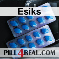Esiks 005