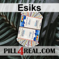 Esiks 198