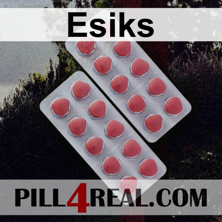 Esiks 356