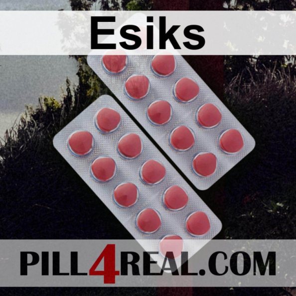 Esiks 356