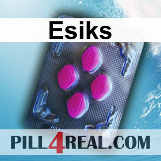 Esiks 650