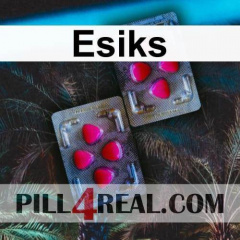 Esiks 813