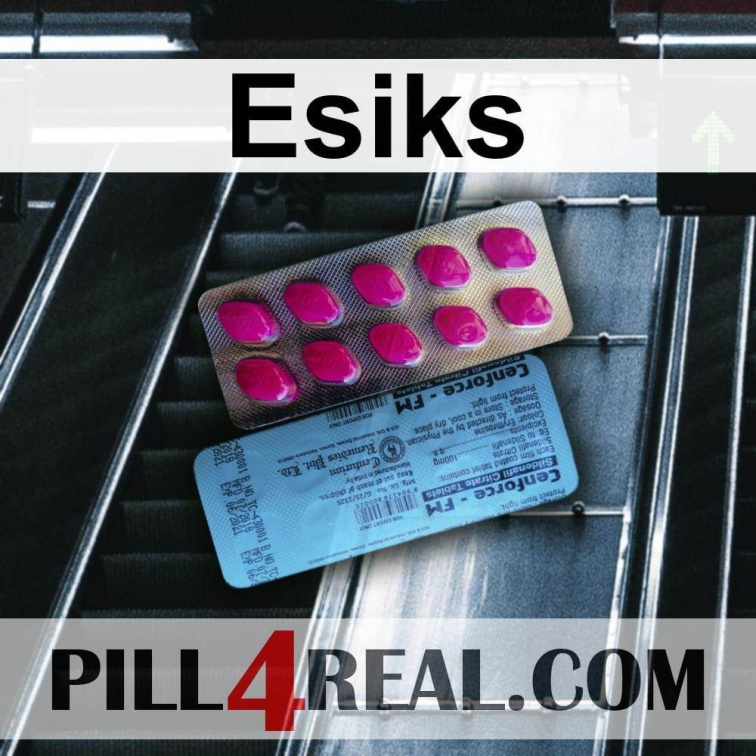 Esiks 993